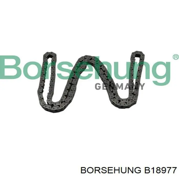 Ланцюг ГРМ, комплект Borsehung B18977 ціна, від 81.86 USD