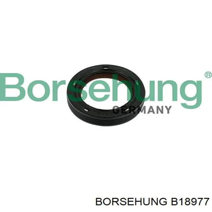 B18977 Borsehung Ланцюг ГРМ, комплект