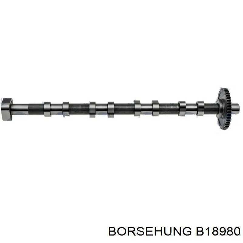 B18980 Borsehung розподільний вал двигуна випускний