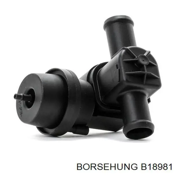 Купити B18981 Borsehung Кран пічки