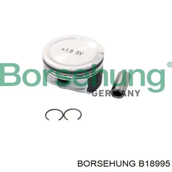 Купити B18995 Borsehung 