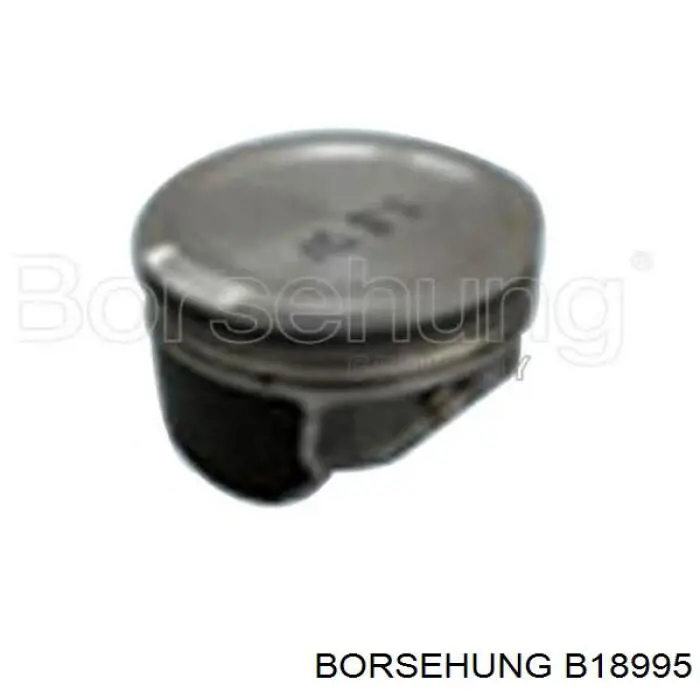  B18995 Borsehung