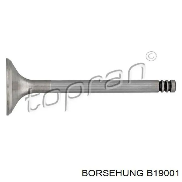 B19001 Borsehung Випускний клапан двигуна