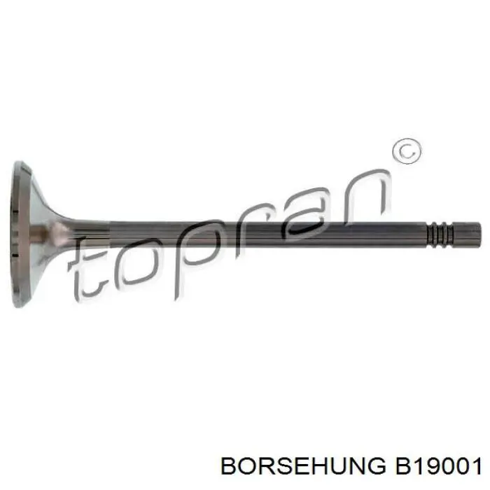 Вихлопний клапан Borsehung B19001 ціна, від 7.91 USD