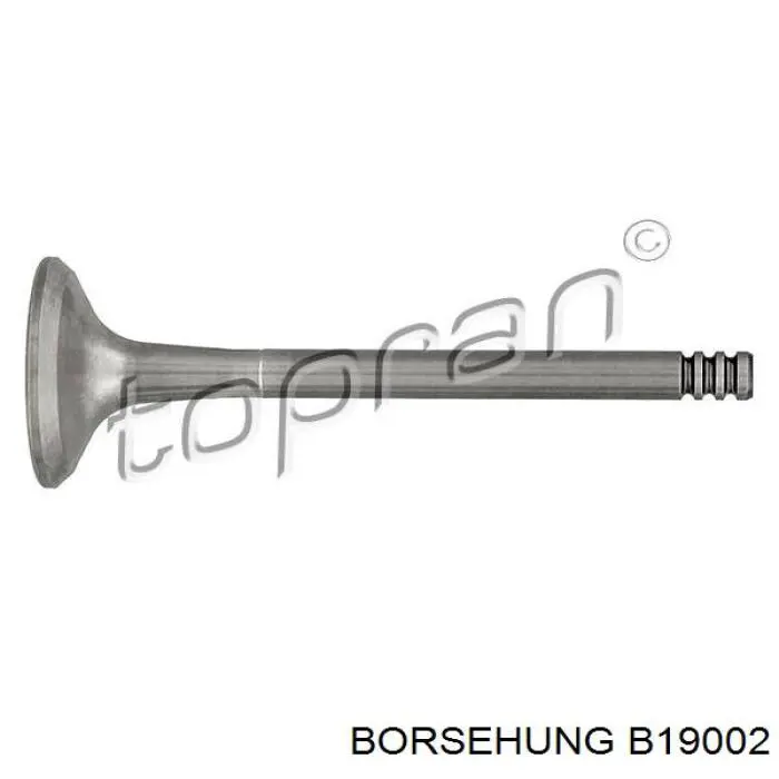 B19002 Borsehung клапан випускний