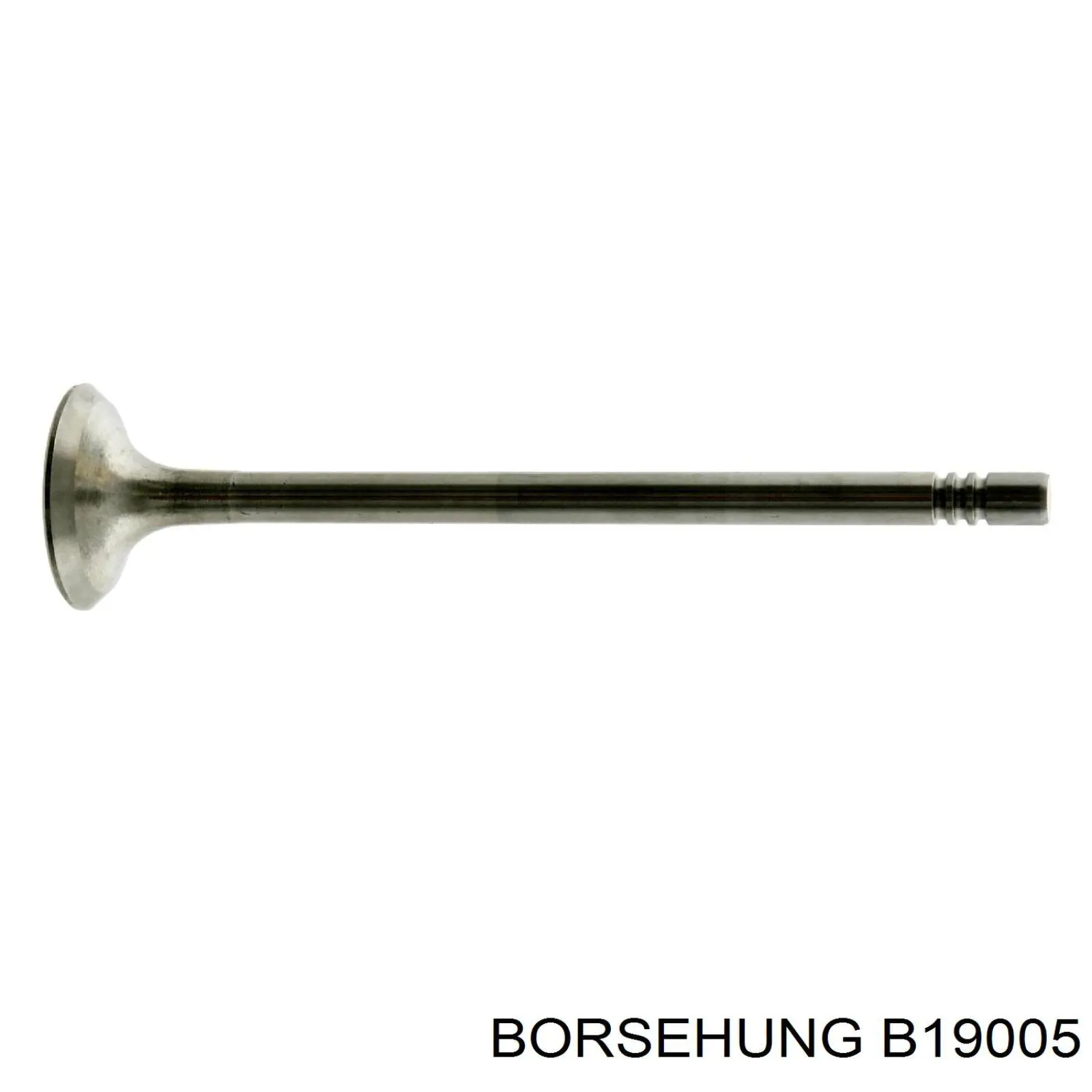 Вихлопний клапан Borsehung B19005 ціна, від 7.53 USD
