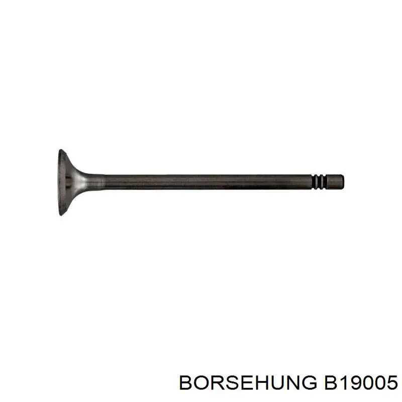 B19005 Borsehung клапан випускний