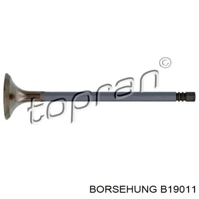 B19011 Borsehung клапан випускний