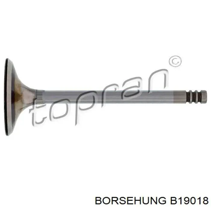 Клапан впускний Borsehung B19018 ціна, від 4.13 USD