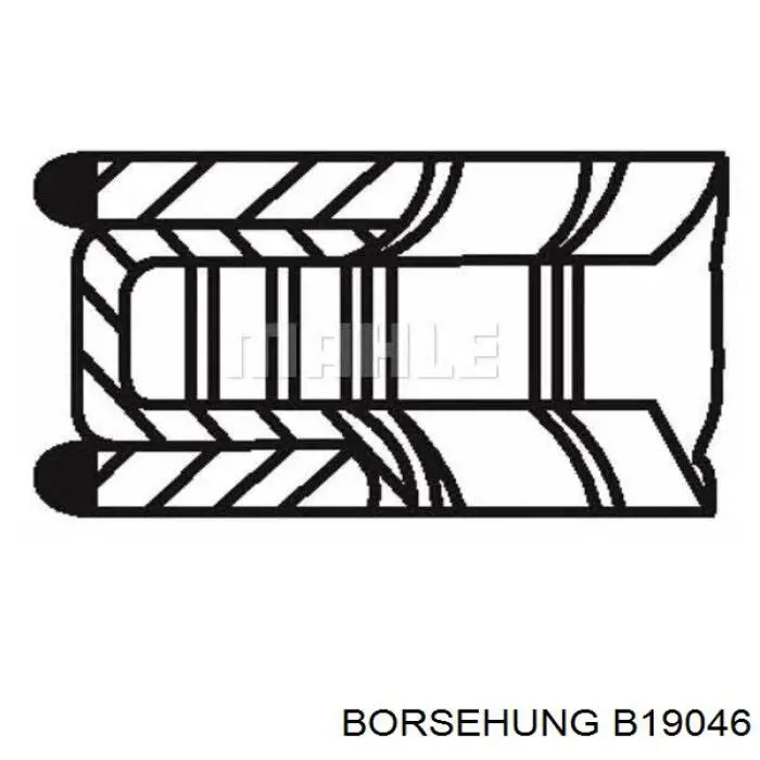 Купити B19046 Borsehung Кільця поршневі на 1 циліндр, STD.