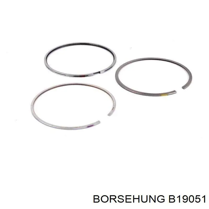 B19051 Borsehung кільця поршневі на 1 циліндр, std.
