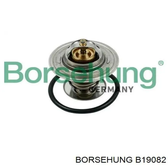B19082 Borsehung шланг/патрубок водяного насосу, приймальний