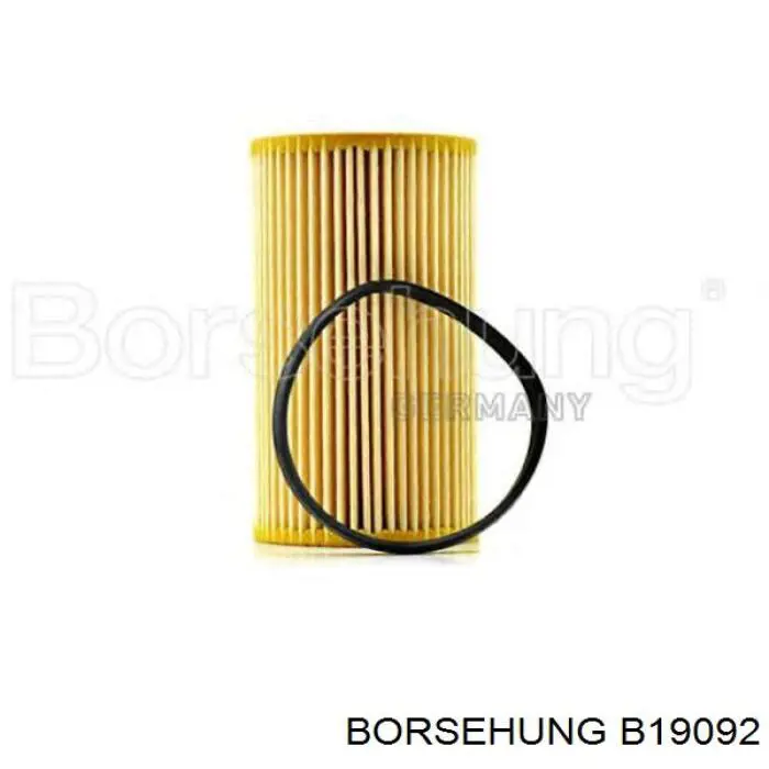 B19092 Borsehung Фільтр масла