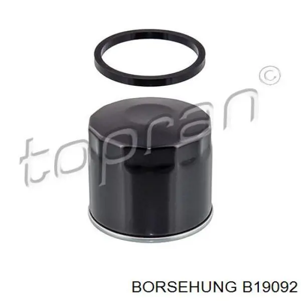 Масляний фільтр двигуна Borsehung B19092 ціна, від 6.47 USD