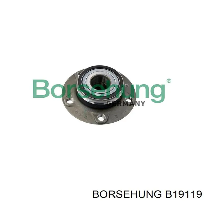 Маточини задніх коліс Borsehung B19119 ціна, від 39.33 USD