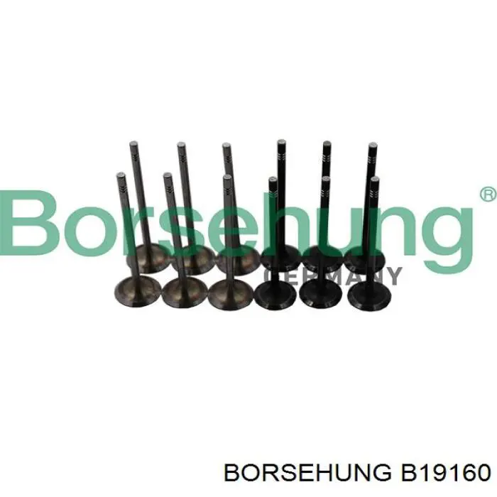 Купити B19160 Borsehung Клапана двигуна, комплект