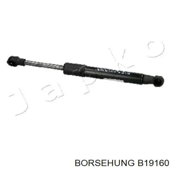 Клапана двигуна, комплект Borsehung B19160 ціна, від 34.54 USD