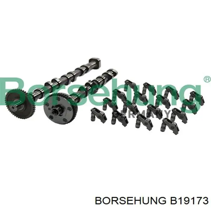 Розподільний вал двигуна, комплект Borsehung B19173 ціна, від 496.43 USD