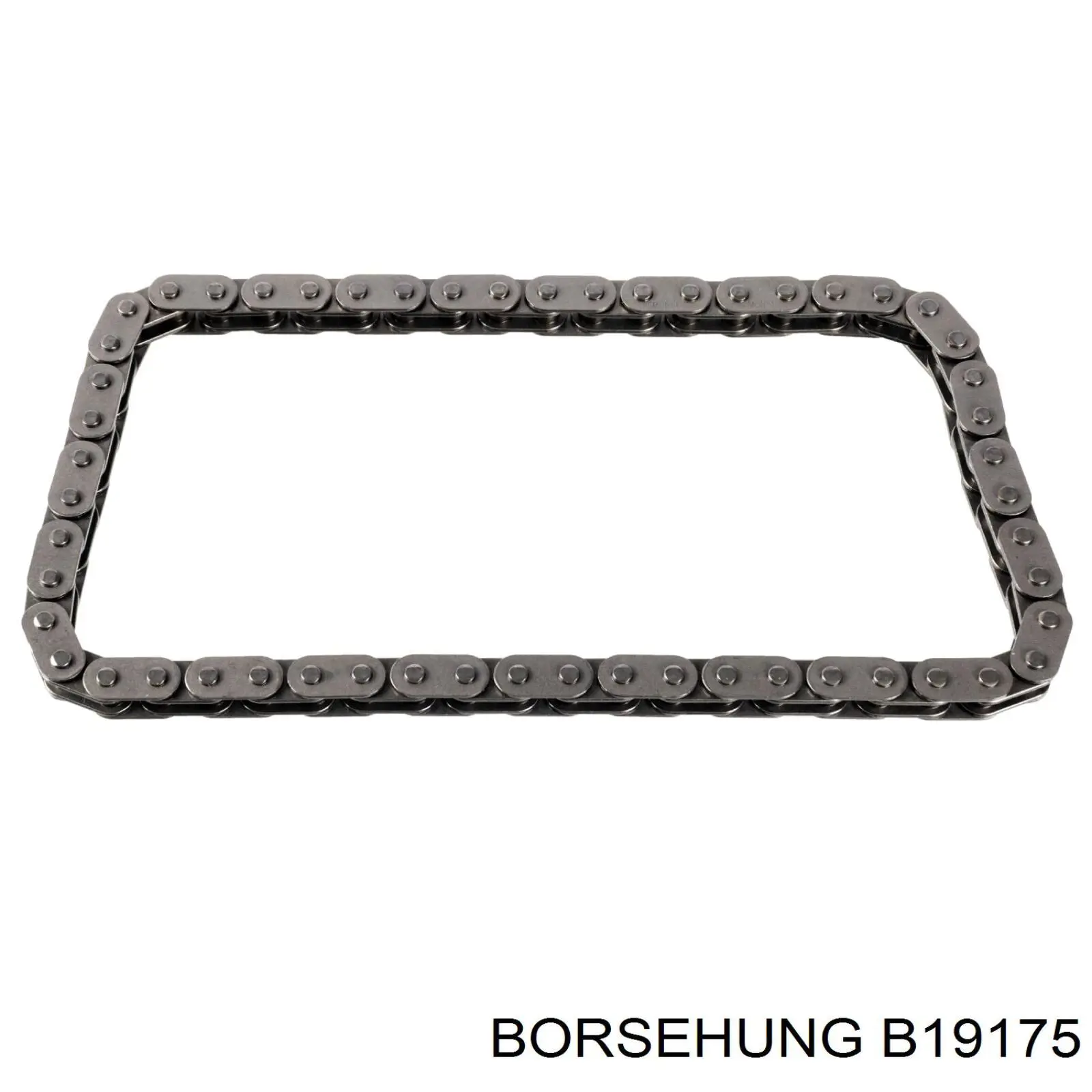 B19175 Borsehung Масляний насос двигуна