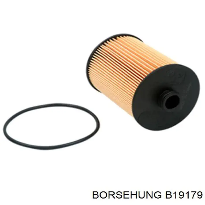 B19179 Borsehung фільтр-сіточка масляного насоса