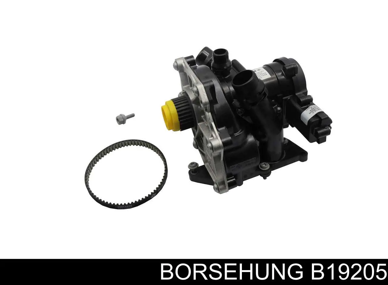 Купити B19205 Borsehung Помпа водяна (насос) охолодження, в зборі з корпусом