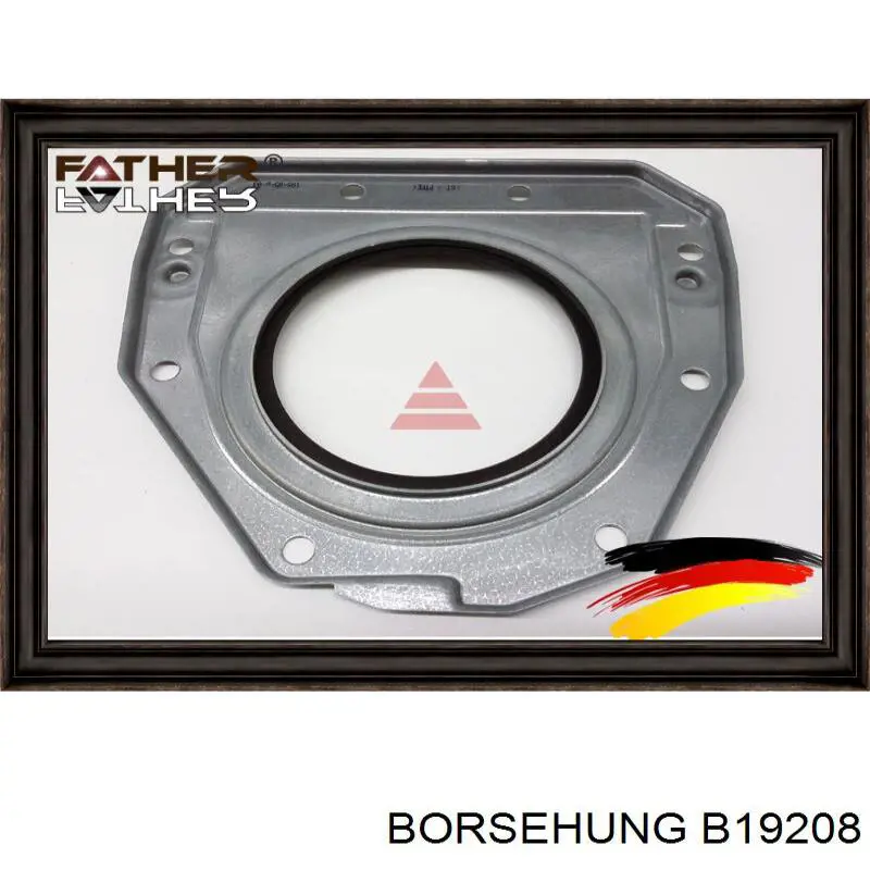 Купити B19208 Borsehung Сальник колінвала задній