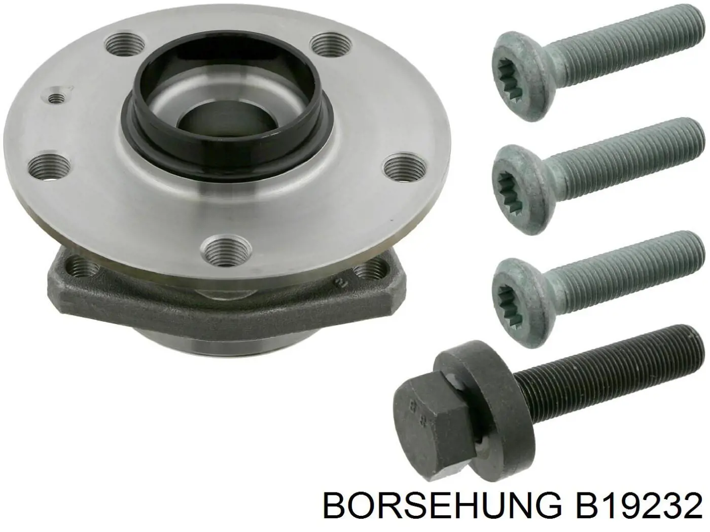 B19232 Borsehung 