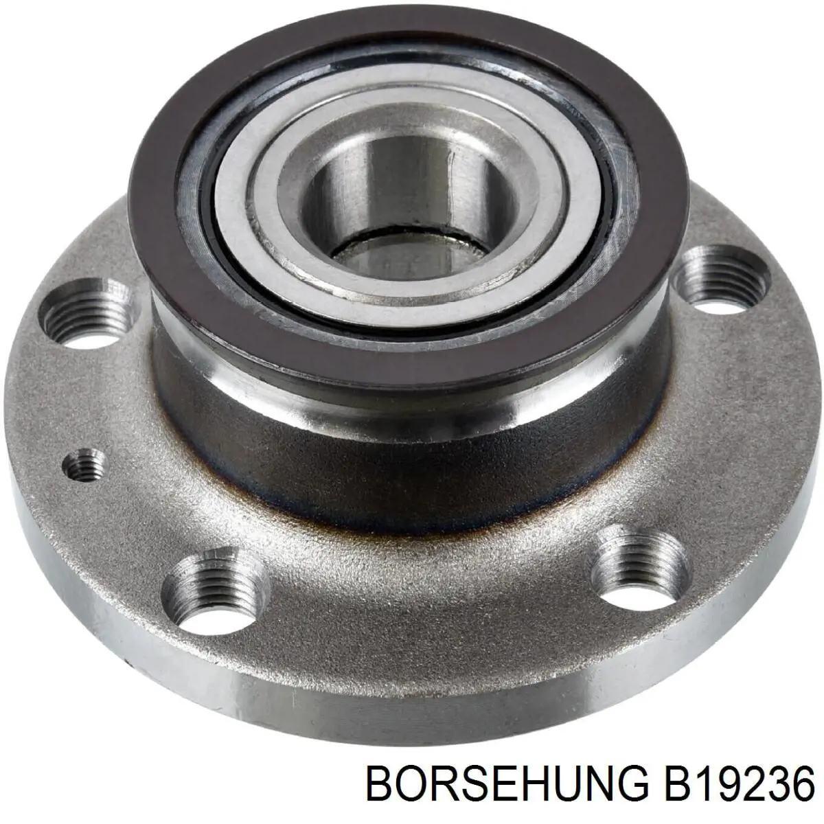 B19236 Borsehung Маточина задня