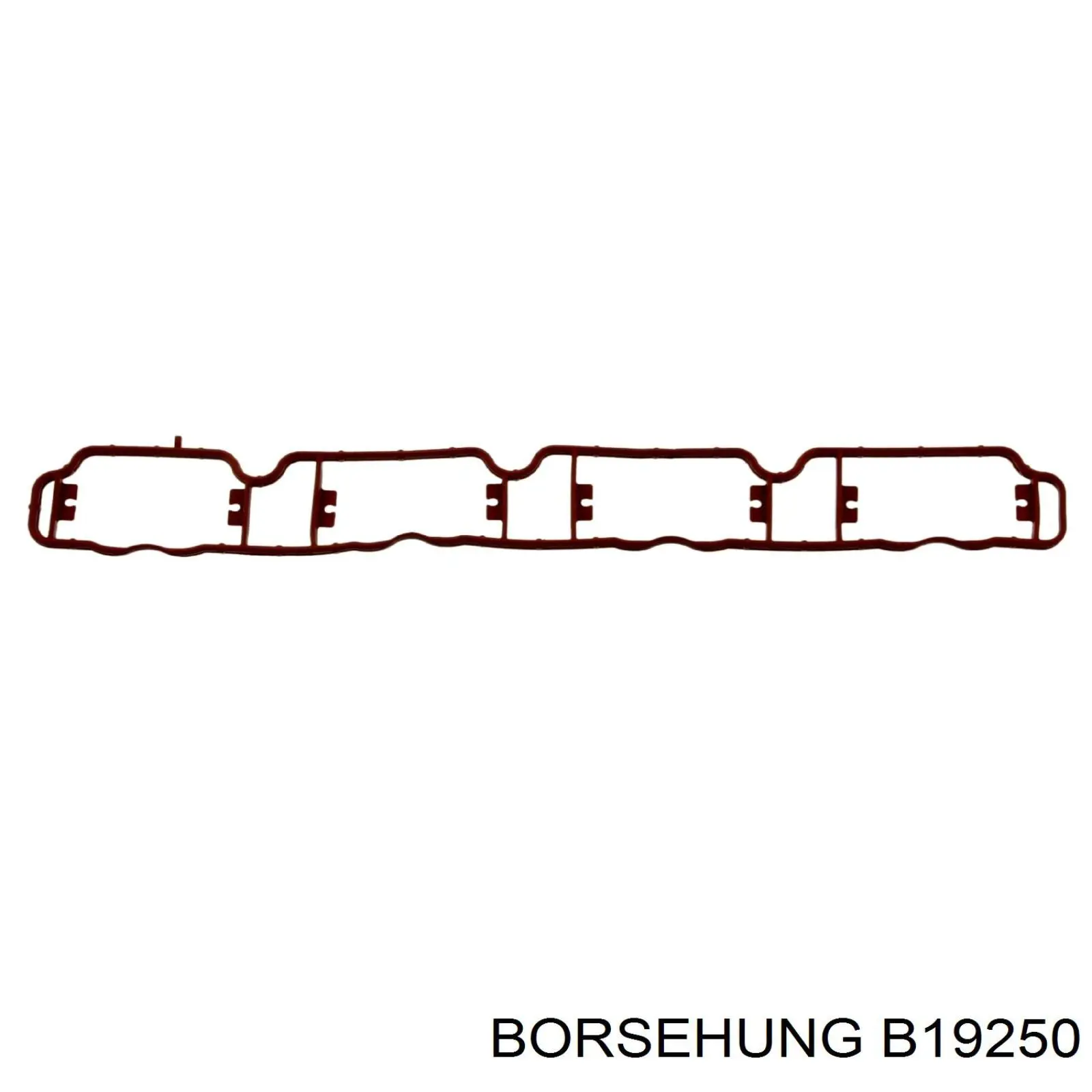 Прокладка впускного колектора Borsehung B19250 ціна, від 9.96 USD