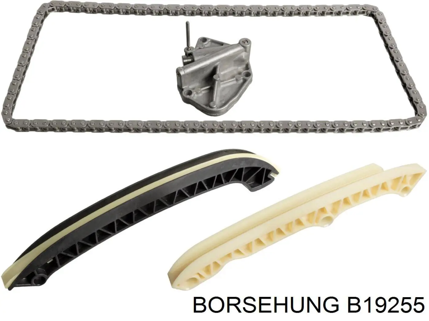  B19255 Borsehung
