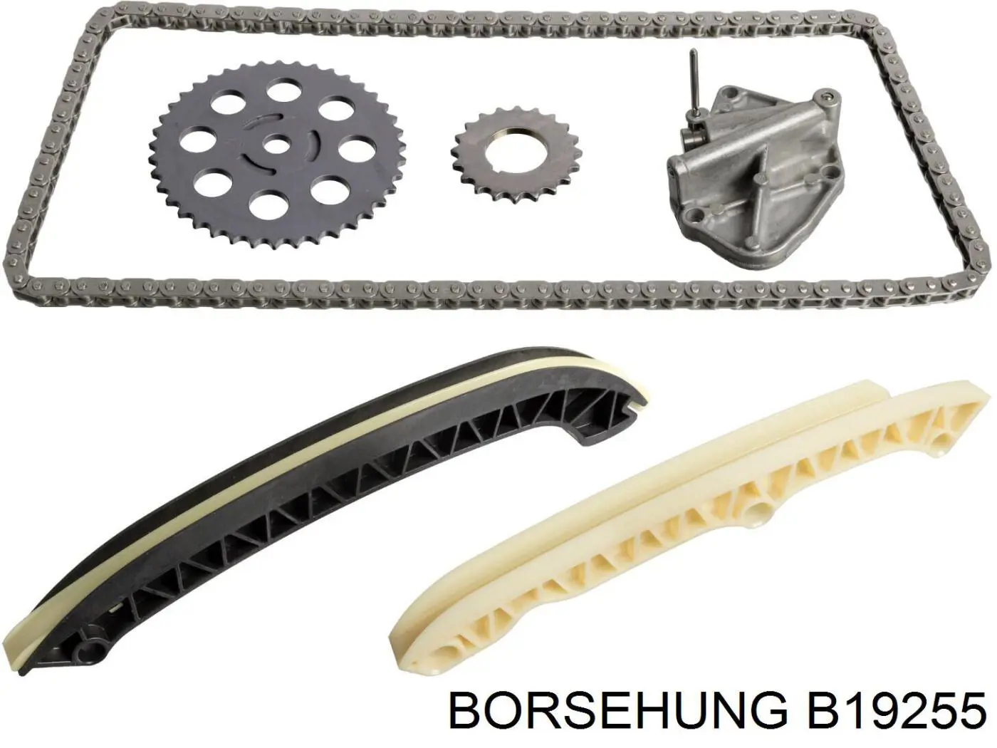  B19255 Borsehung