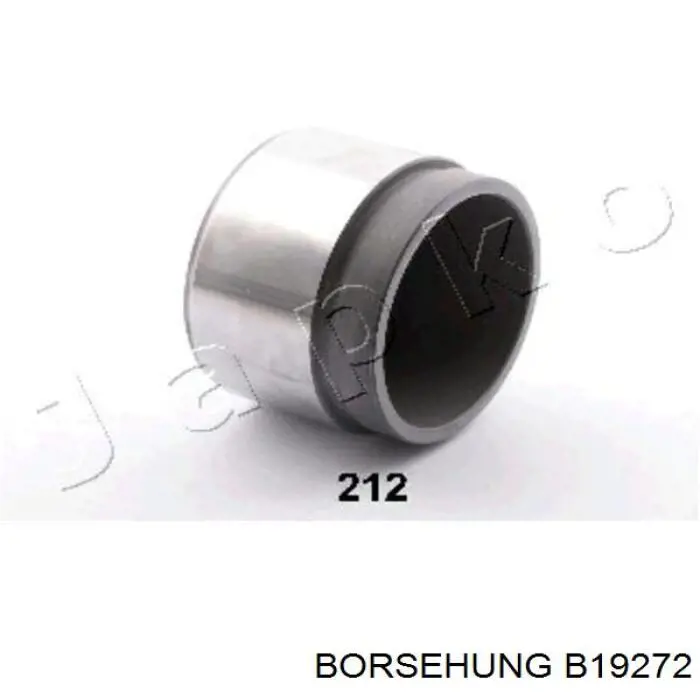 Купити B19272 Borsehung Бачок насоса ГПР