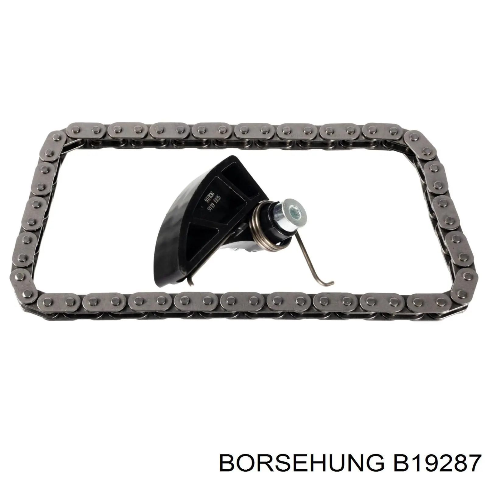 B19287 Borsehung 