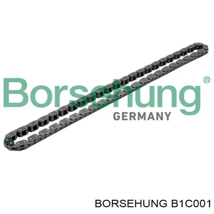 Ланцюг Borsehung B1C001 ціна, від 20.78 USD