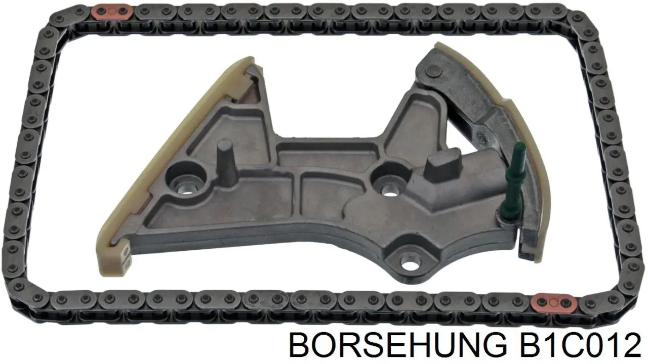 B1C012 Borsehung 
