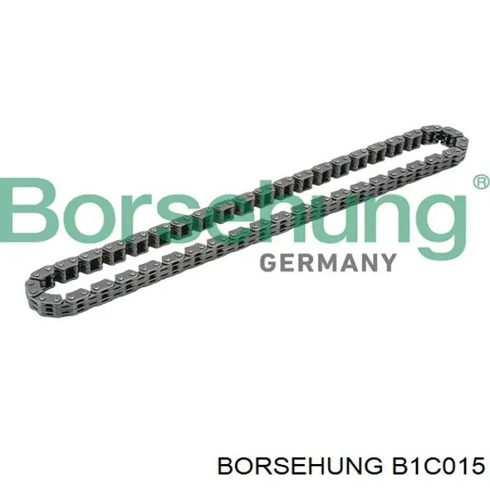 Купити B1C015 Borsehung 