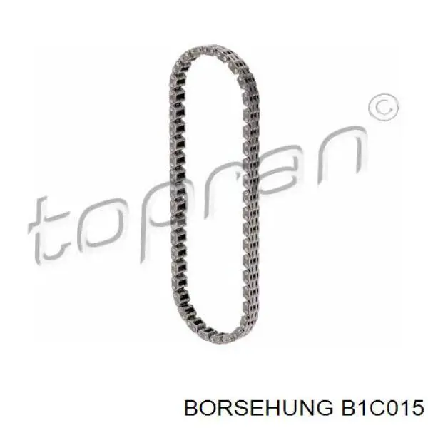B1C015 Borsehung 