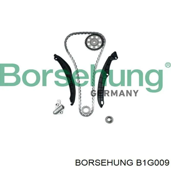 Заспокоювач ланцюга ГРМ B1G009 Borsehung