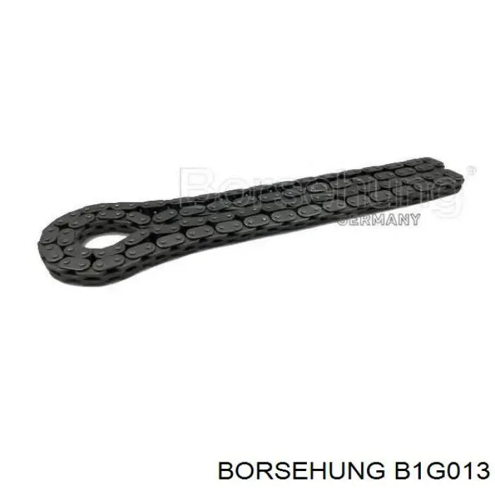 Купити B1G013 Borsehung Башмак натягувача ланцюга ГРМ