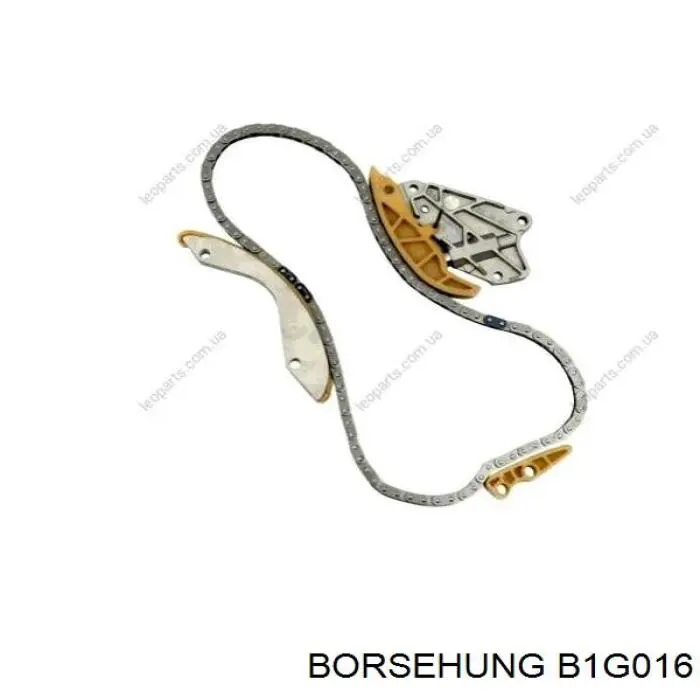 B1G016 Borsehung 