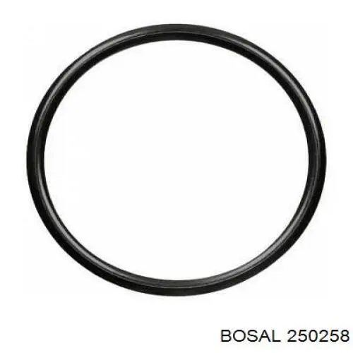 Кронштейн/хомут глушника, задній 250258 Bosal