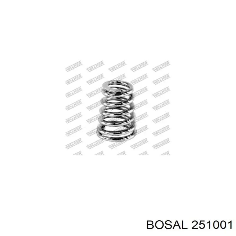 Купити 251001 Bosal Пружина болта кріплення колектора