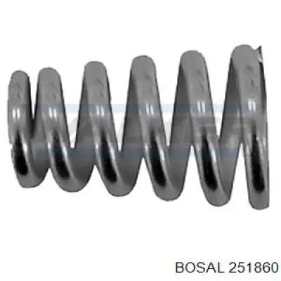 251860 Bosal пружина болта кріплення колектора