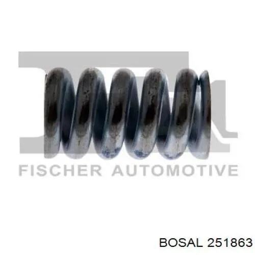 Пружина болта кріплення колектора Bosal 251863 ціна, від 0.99 USD