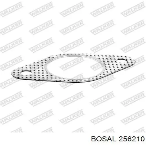 Прокладка штанів на Ford Focus I DNW