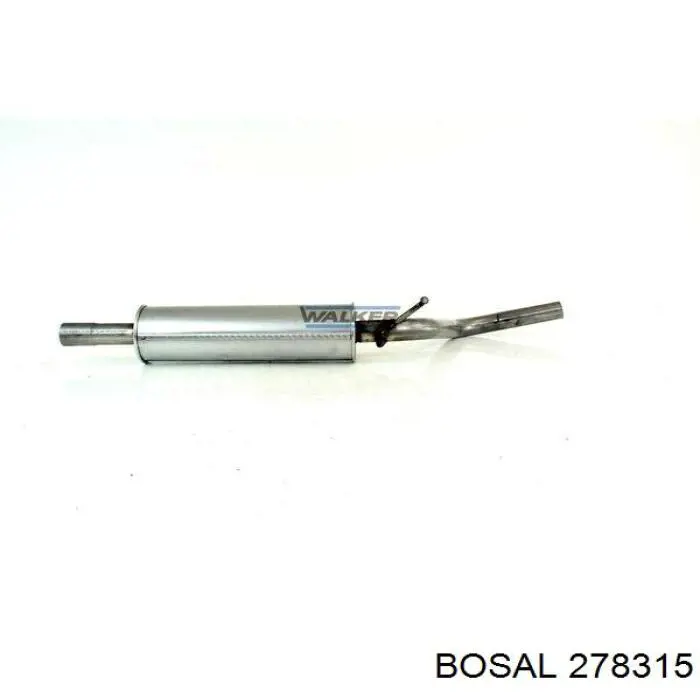 Глушник, центральна частина 278315 Bosal
