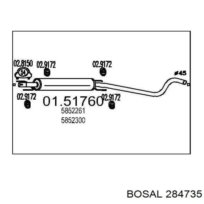 284735 Bosal глушник, центральна частина