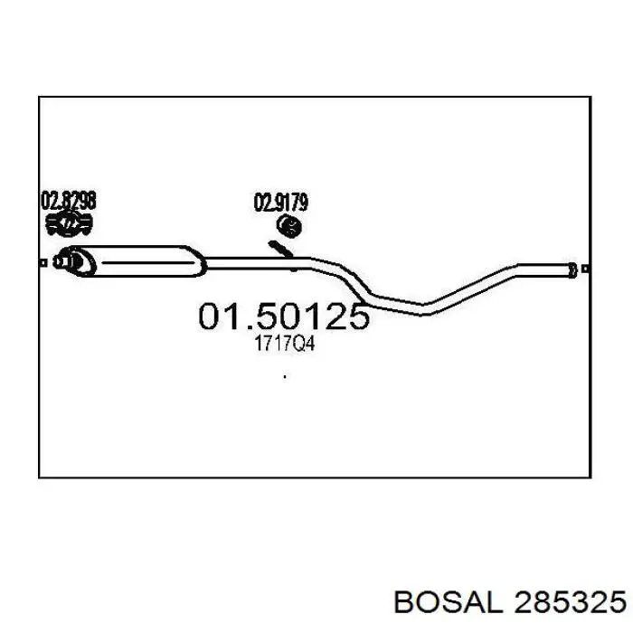 Глушник, центральна частина 285325 Bosal