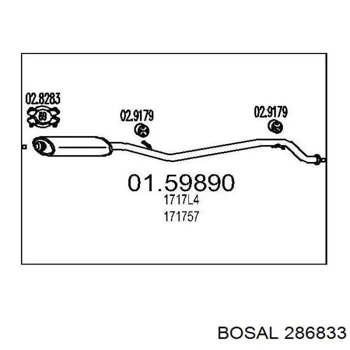 Глушник, центральна частина 286833 Bosal