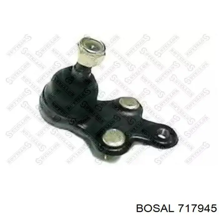 Глушник, центральна частина BS717945 Bosal